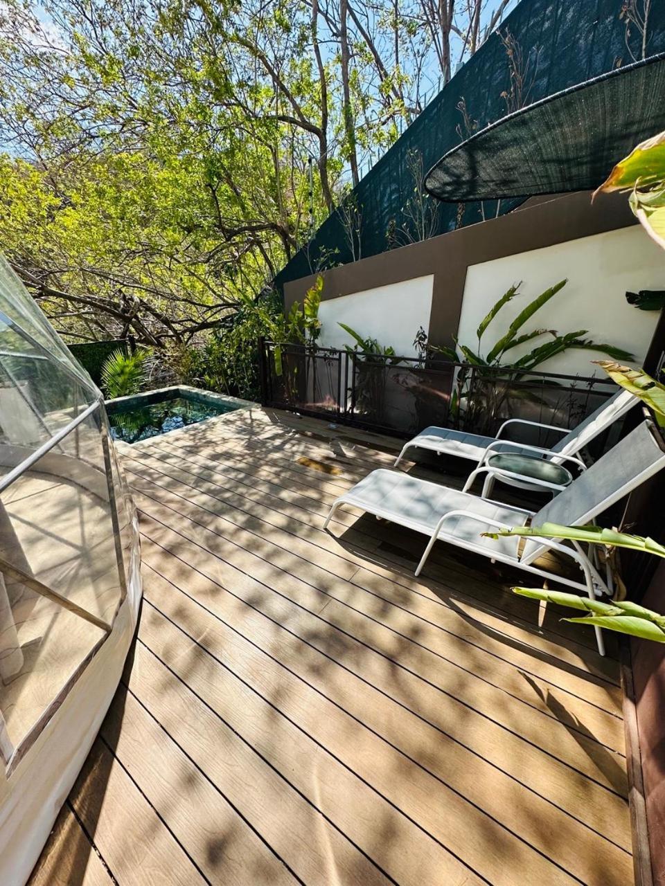 Glamping Tortuga *